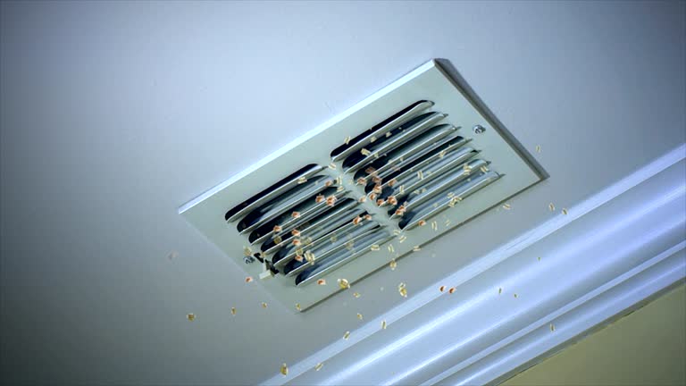 HVAC System Cleaning in IL